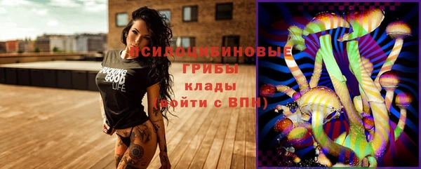 мдпв Навашино