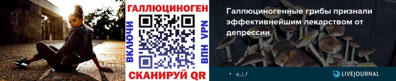 Галлюциногенные грибы Psilocybe  Купить где  Сортавала 
